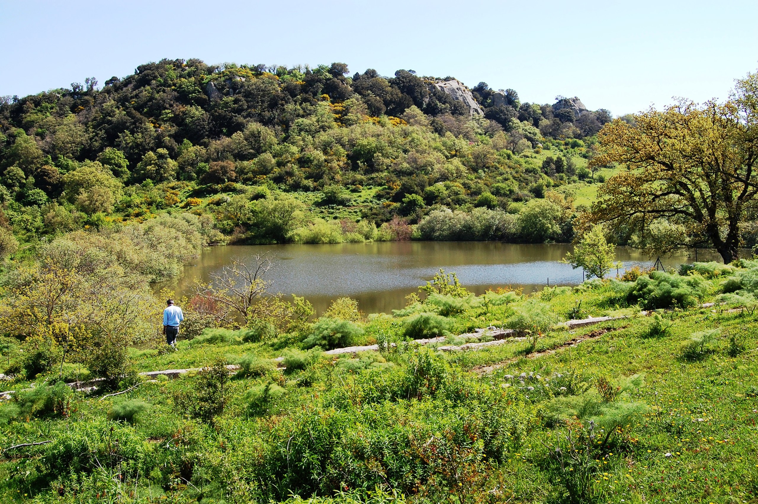 Lago_Coda_di_Riccio_Ficuzza_0059
